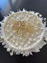Marta Rocha Cake – A Slice of Elegance and Memory